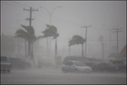 Ураган «Долли» показал американцам свою мощь. Фото
