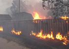 На Черниговщине лесной пожар перебросился на село. Пострадало очень много людей. Фото