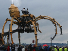 В Ливерпуле завелся паук-гигант. Фото