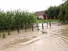 На Закарпатье начались потопы. Отселены более 50 человек
