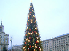 Новогоднюю елку в Киеве убирать не будут. Денег нет?