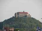 Семья Балоги снова положила глаз на скандальный замок в Мукачево