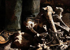 В центре Лос-Анджелеса палеонтологи нашли странные останки. Фото