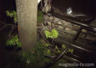 Киевлянин одним ударом уложил дерево и оградку. Фото