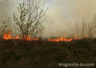 Настоящее пекло на Киевщине. Более 100 га леса уничтожил огонь. Фото