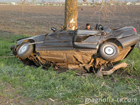 Николаевщина. «БМВ» разорвало от удара о дерево. Водителю и пассажиру выжить не удалось. Фото
