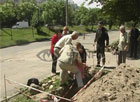 Киевлянка средь бела дня умудрилась упасть в огромную яму. Фото