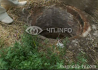 Херсонщина. Двое мужчин провели без сознания в канализационной яме полтора дня. Фото