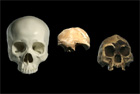 Генпрокуратура подтверждает, что найдены останки черепа, который может принадлежать Гонгадзе