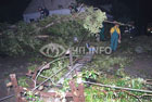 На Днепропетровщину обрушился серьезный ураган. Повалены деревья, парализовано движение транспорта Фото