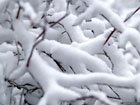 Киевляне уже увидели… первый снег в этом году