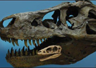 Ученые в Монголии нашли останки тираннозавра-мутанта. Фото