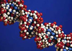В этом году Нобелевскую премию химики получили за исследование ДНК