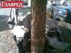 В Киеве алкаш за рулем на полном ходу влупился в дерево. Удар был сумасшедшей силы... Фото