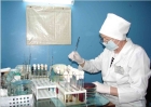 Украина скоро выпустит собственный «Тамифлю» против гриппа