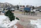 В Луганске неизвестные надругались над Снегурочкой, Дедом Морозом и новогодней елкой. Фото