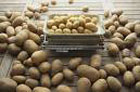 Картошка в Украине дорожает ежедневно