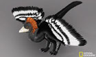 Пернатый динозавр, оказывается, был «петухом гамбургским». Фото