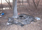 В Запорожье живодеры заживо сожгли собаку. Фото