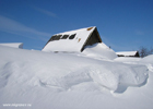 Англию засыпало снегом. 30 тысяч домов остались без электричества