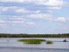 Полтавских чиновников так прижало, что они по-тихому продали… болото