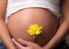 Пристрастие к выпивке во время беременности крайне негативно сказывается на ребенке. Новые исследования ученых