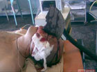 В России учителя труда доставили в больницу с болгаркой в голове. Фото