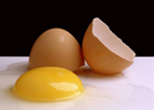 Ученые умудрились сделать так, чтобы из куриного яйца вылупилась… дрофа