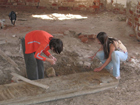 В Аллее сфинксов раскопан коптский храм и нилометр