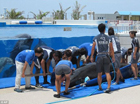 В Японии доведенный до отчаяния дельфин пытался убежать из бассейна. Фото