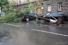 Поваленные деревья заблокировали киевские улицы. Фото
