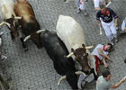 Кровавые традиции. В Испании разъяренные быки топтали людей. Фото