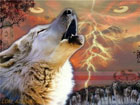 На Херсонщине волки нападают на людей