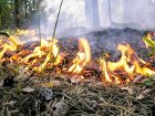 Пожароопасная ситуация в Киеве достигла предела