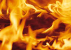 Пожар на Днепропетровщине сжег 450 гектаров леса