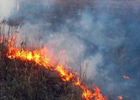 Пожарные не успевают тушить киевские торфяники