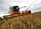 Из Украины стало невозможным экспортировать зерно