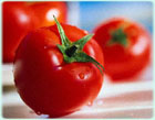 Ученые вывели новый сорт помидор - «антистарин»