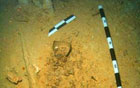 Найден скелет человека, жившего в Ледниковый период. Фото