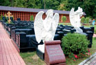 Жириновский купил себе место на кладбище за 2 миллиона. Фото