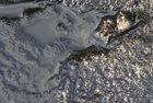 На пляж под Одессой приплыло нефтяное пятно
