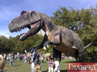 В Киеве «поселились» динозавры. Фото