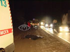 Под Киевом маршрутка насмерть сбила пьяного пешехода. Фото
