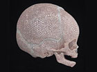 Самый дорогой художник в мире отлил платиновый череп, укрытый бриллиантами. Фото