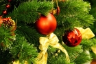 Праздники запомнятся по-настоящему «новогодней» погодой