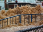 Австралию захлестнул потоп «библейских масштабов». Страшные фото