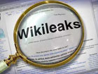 Полиция повязала сотрудников Wikileaks