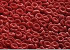 Канадские ученые составили полный список «ингредиентов» крови