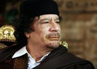 Каддафи решил спрятать свою семью в Белоруссии?