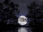19 марта Луна приблизится к Земле максимально близко. Можно будет потрогать рукой?